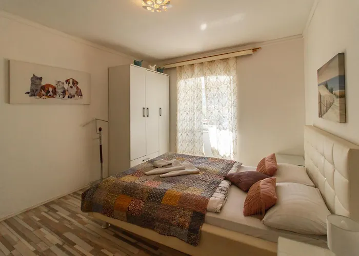 Coli App Afrodita & Antonia Bakar